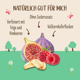 Allos ungesüßter Feigen- und Himbeerbrei, Set 6 x 500 Gramm Cereals Naty Shop