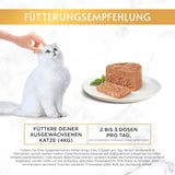 Fine Pate Gourmet Gold mit Gemüse, Nassfutter für Katzen mit Forelle und Tomate, 12er Pack (12 x 85g)