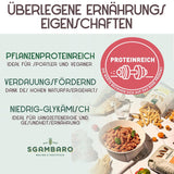 Bio-Nudeln Trivelline N.47 – 500 g mit Dinkelmehl, Linsenmehl und Quinoamehl – ​​Reich an Proteinen, Ballaststoff- und Proteinquelle