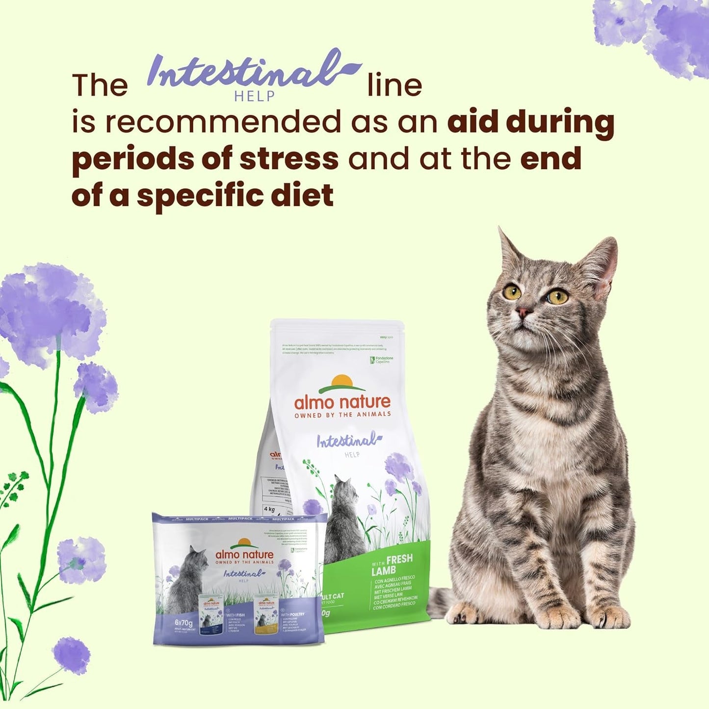 Almo Nature Functional – Darmhilfe – Nassfutter für erwachsene und ausgewachsene Katzen mit empfindlichem Darm – mit Geflügel – unterstützt das Mikrobiom – 70 g (30 Stück)