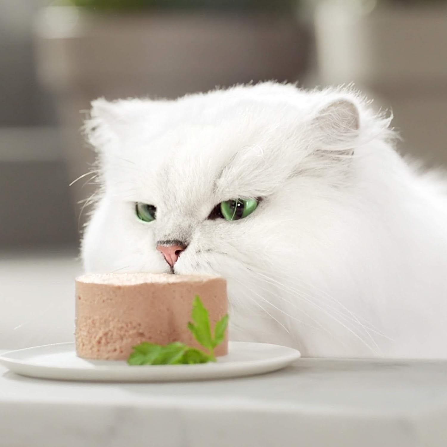 Fine Pate Gourmet Gold mit Gemüse, Nassfutter für Katzen mit Forelle und Tomate, 12er Pack (12 x 85g)
