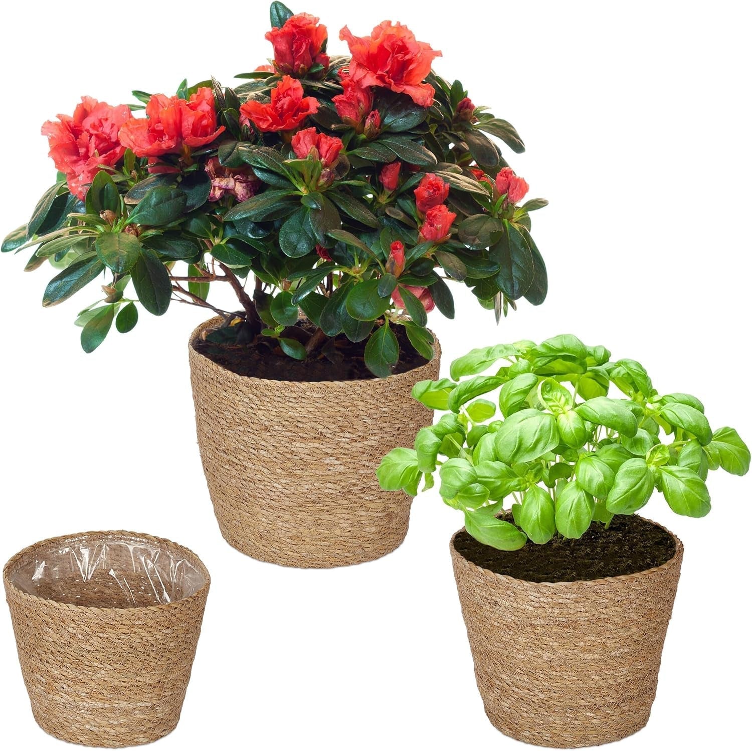 Relaxdays Blumentöpfe aus Seegras, 3er-Set, runder Pflanzkorb für Blumen und Kräuter, mit Folie, 3 Größen, Übertopf natur