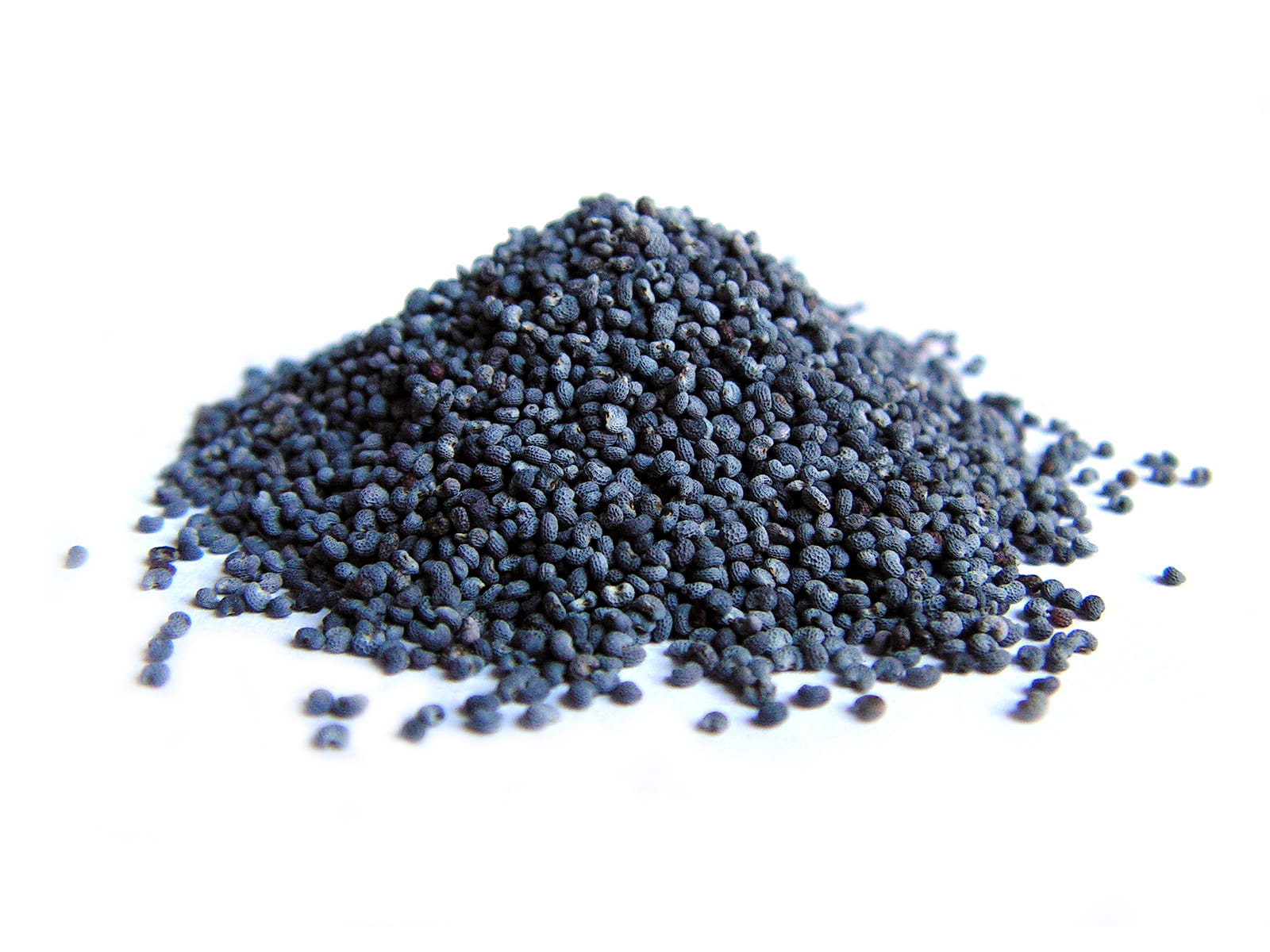 Mohnsamen 50 g – Intensiver Geschmack und hoher Proteingehalt zum Kochen und für Desserts