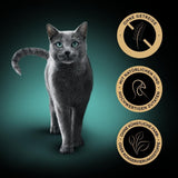 SHEBA Nassfutter für Katzen, Nature's Collection in Truthahnsauce, 2 x 11 x 85 g