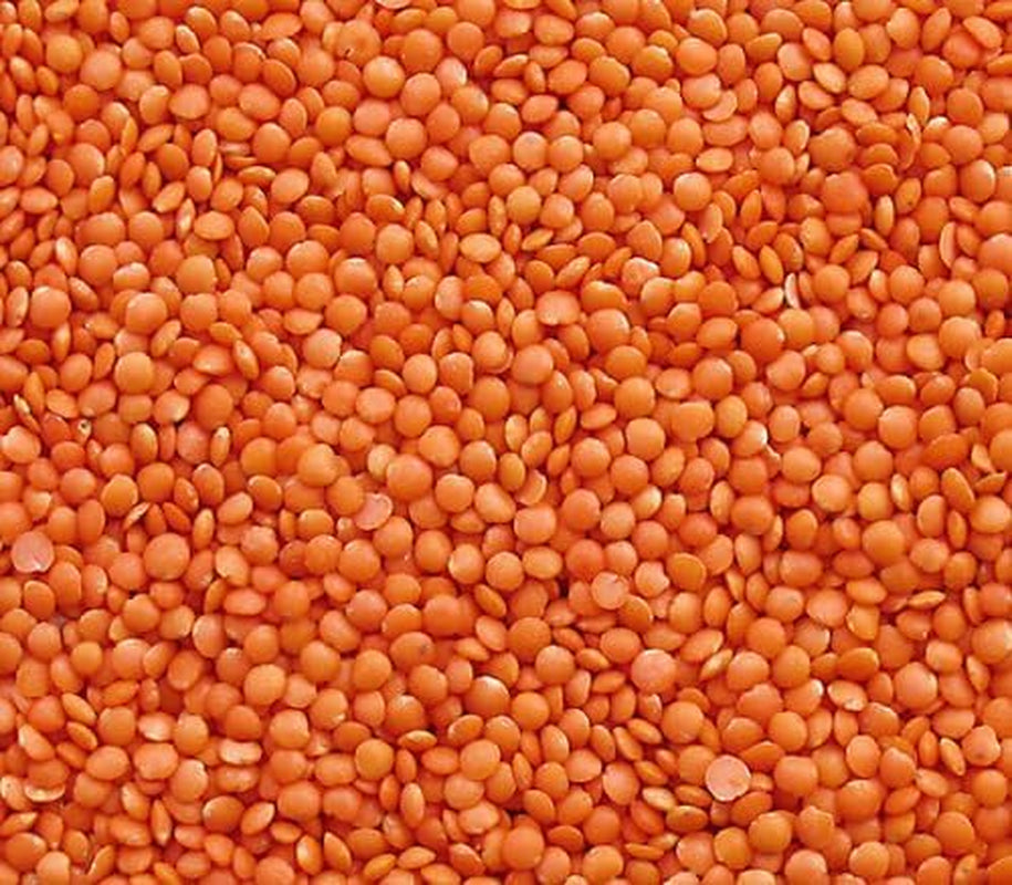 Seba Garden Rote Linsen 1 kg – Premium ganze Linsen aus Kanada – Massor Dal, gentechnikfrei, proteinreich, reich an Ballaststoffen – ganz natürlich, vegan, glutenfrei, ideal für Suppen und Currys