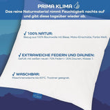 LINEA von Böhmerwald – Cozy – Hochwertiges Balance-Kissen, 40 x 80 cm, 70 % Federn der Klasse 1, 30 % neue Daunen, allergikergeeignet, waschbar bis 60 °C, hergestellt in Deutschland. Naty Shop Standard-Kissen