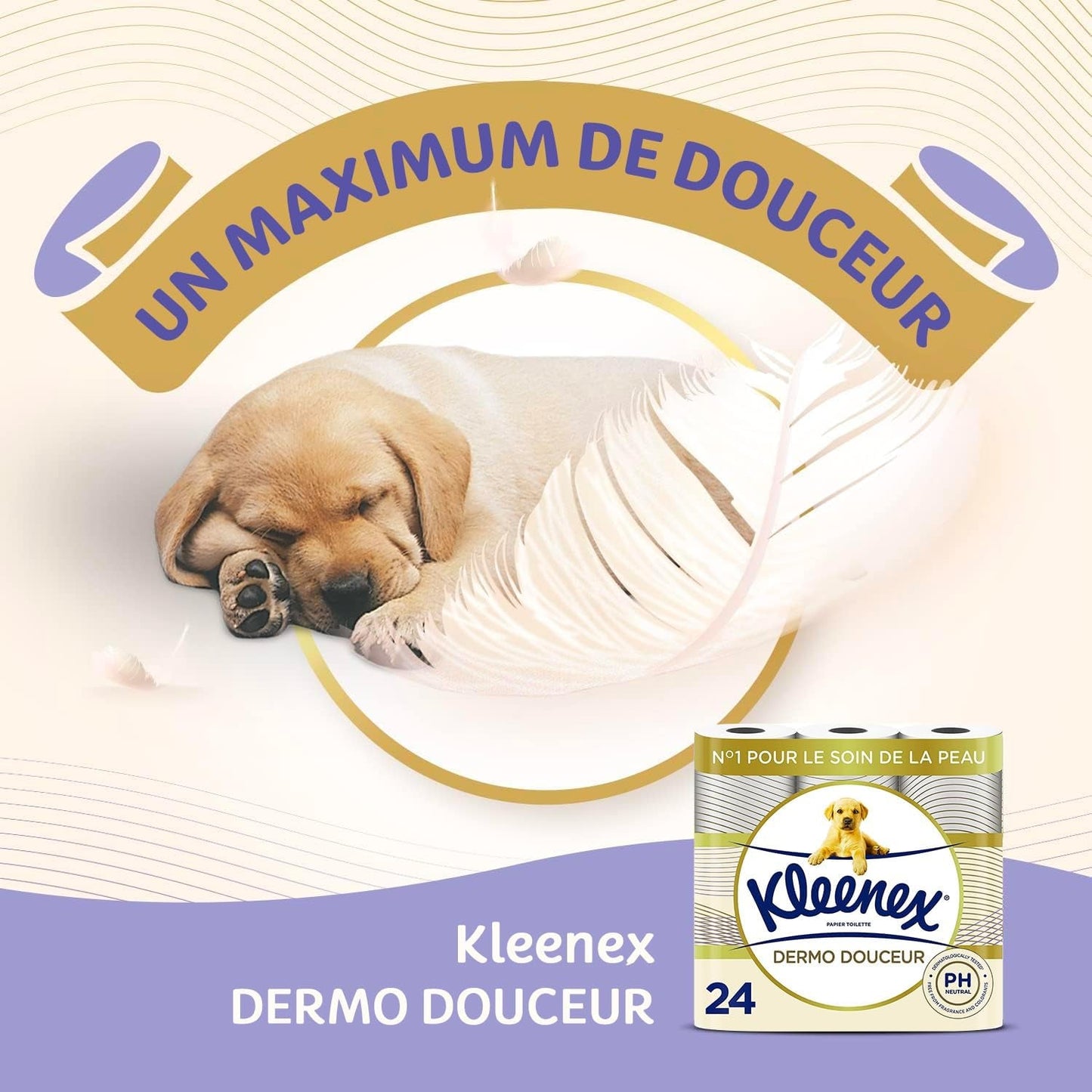 KLEENEX Dermo Douceur 4230420 Toilettenpapier, 24 Rollen (4 x 6 Rollen), weiß, 24 Unité (Lot of 6)