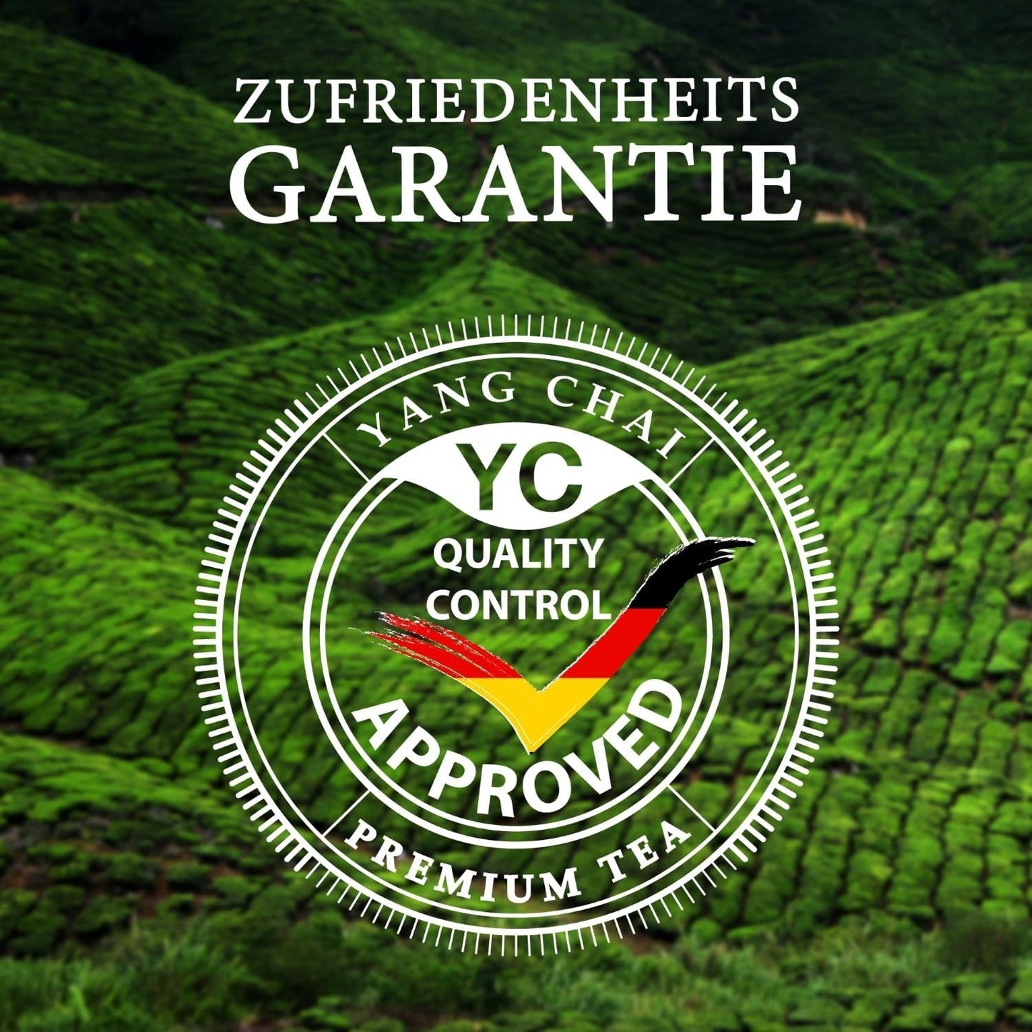 YC Yang Chai Sencha Grüner Tee BIO 250G – Japanischer loser Tee mit Bergamotte-Geschmack – Original japanischer Grüntee „Sencha Dynasty“ aus kontrolliert biologischem Anbau