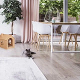 Decken und Möbel, Haustiere, Höhlen und Häuser, Katzen, Betten für Katzen, Katzenbetten, Matratzen