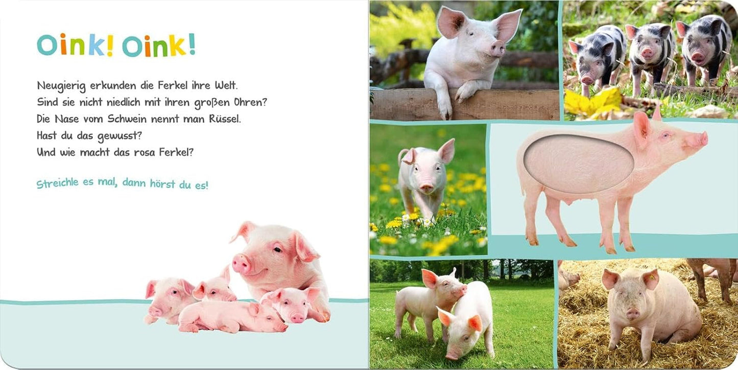 Hören Sie, wer könnte es sein? - Nutztiere: streicheln und zuhören | Hochwertiges Bilderbuch aus Pappe mit 5 Geräuschen und taktilen Elementen für Kinder ab 18 Monaten. Babyspielzeug Naty Shop