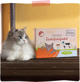 MjAMjAM – Premium-Nassfutter für Katzen – Wellness Pack Rindfleisch, 12er-Pack (12 x 125 g), getreidefrei mit extra Fleisch