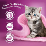 WHISKAS Junior Nassfutterbeutel, Multipack, Auswahl an Geflügelfleisch in Gelee, 12 x 85 g