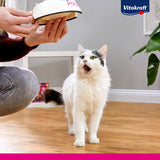 Vitakraft Poésie Création, Nassfutter für Katzen, Nassfutter für Katzen in Soße, mit Truthahn in Käsesoße, Multipack, ohne Zusatz von Zucker oder Getreide (15 x 85 g)