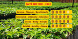 Caffè New York - XXXX - Kaffee aus ganzen Bohnen - 1000g