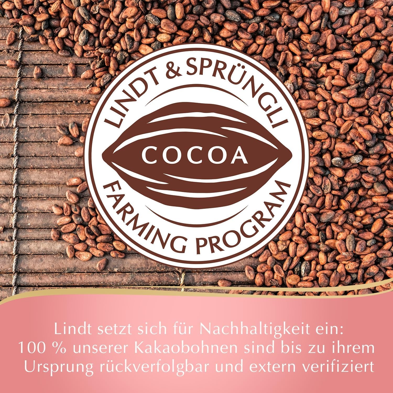 Oster-Sortenpaket Lindt Schokolade LINDOR | 1,2 kg | 2 GOLD BUNNY Milchschokoladen und 8 LINDOR Sorten: Milchschokolade, Noisette, Zartbitter, Weiß, Schwarz 60 %, Karamell, Salzkaramell, Stracciatella | Osterschokolade | Der Osterhase