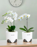 Orchideen-Blumentopf mit Drainagelöchern zum Umpflanzen, hervorragende Luftzirkulation, 2 Stück, doppelschichtiger Kunststoff, Keramik-Orchideen-Übertopf, transparenter Orchideen-Blumentopf, dekorativ