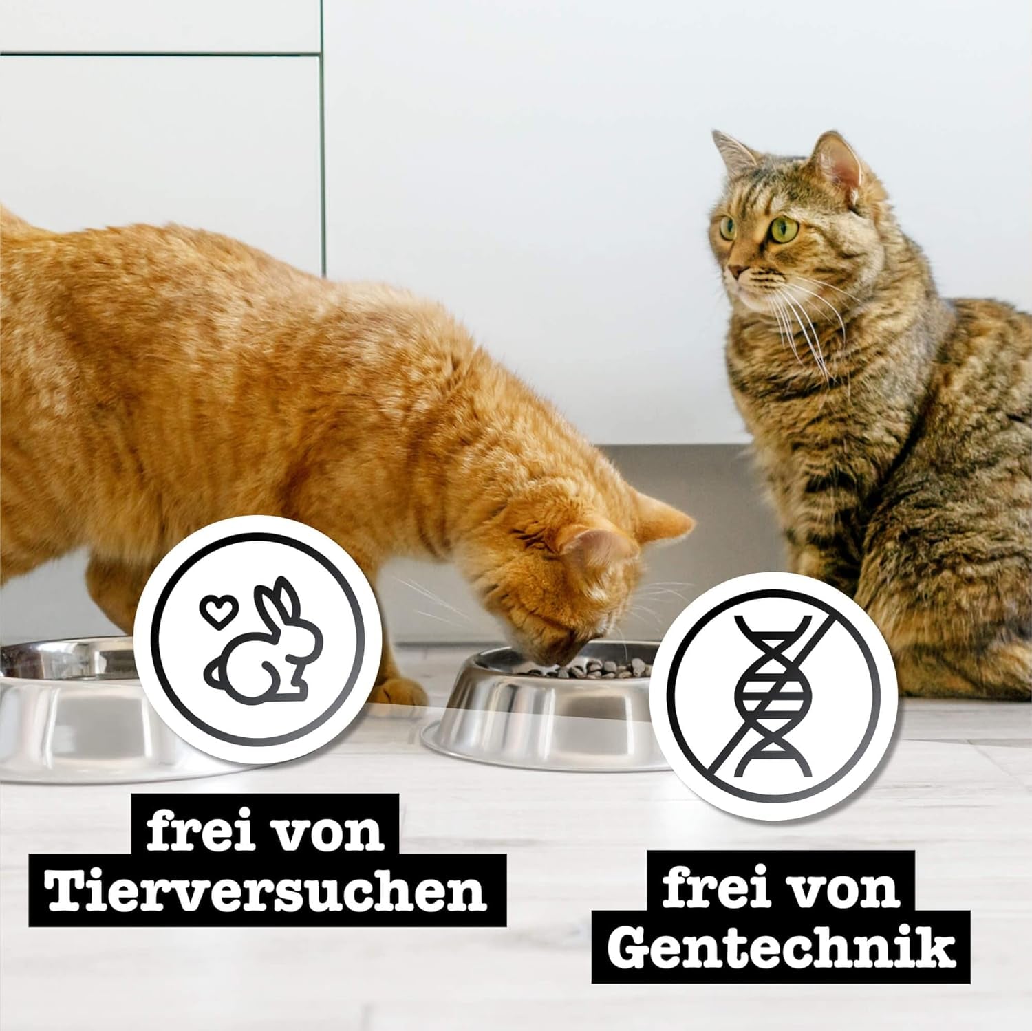 Nassfutter für Katzen Catz Finefood Purrrr Sheep Monoprotein Nr. 113, für Katzen mit empfindlicher Verdauung, 70 % Fleischanteil, 16 Beutel à 85 g