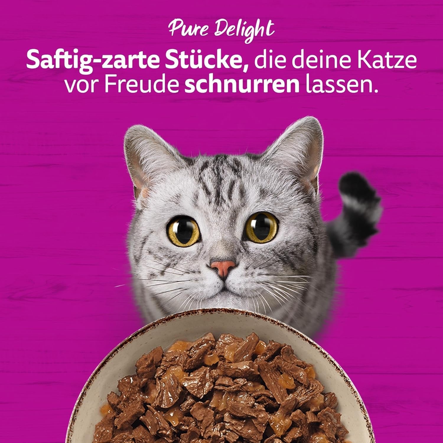 WHISKAS PURE DELIGHT Nassfutter in Gelee 24 x 85g Classic Ragout (4 Packungen) 48 Portionsbeutel