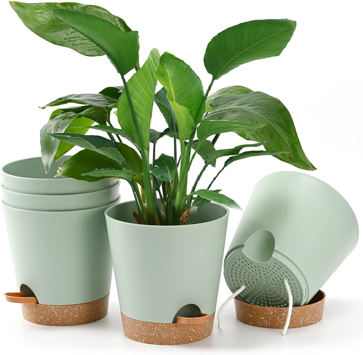 Blumentopf, 6 Stück, 12,7 cm, selbstbewässernder Übertopf, hohe Drainage, Blumentopf für drinnen und draußen, mit Reservoir-Tablett und Bewässerungsrand, Garten-Pflanzgefäß, Garten