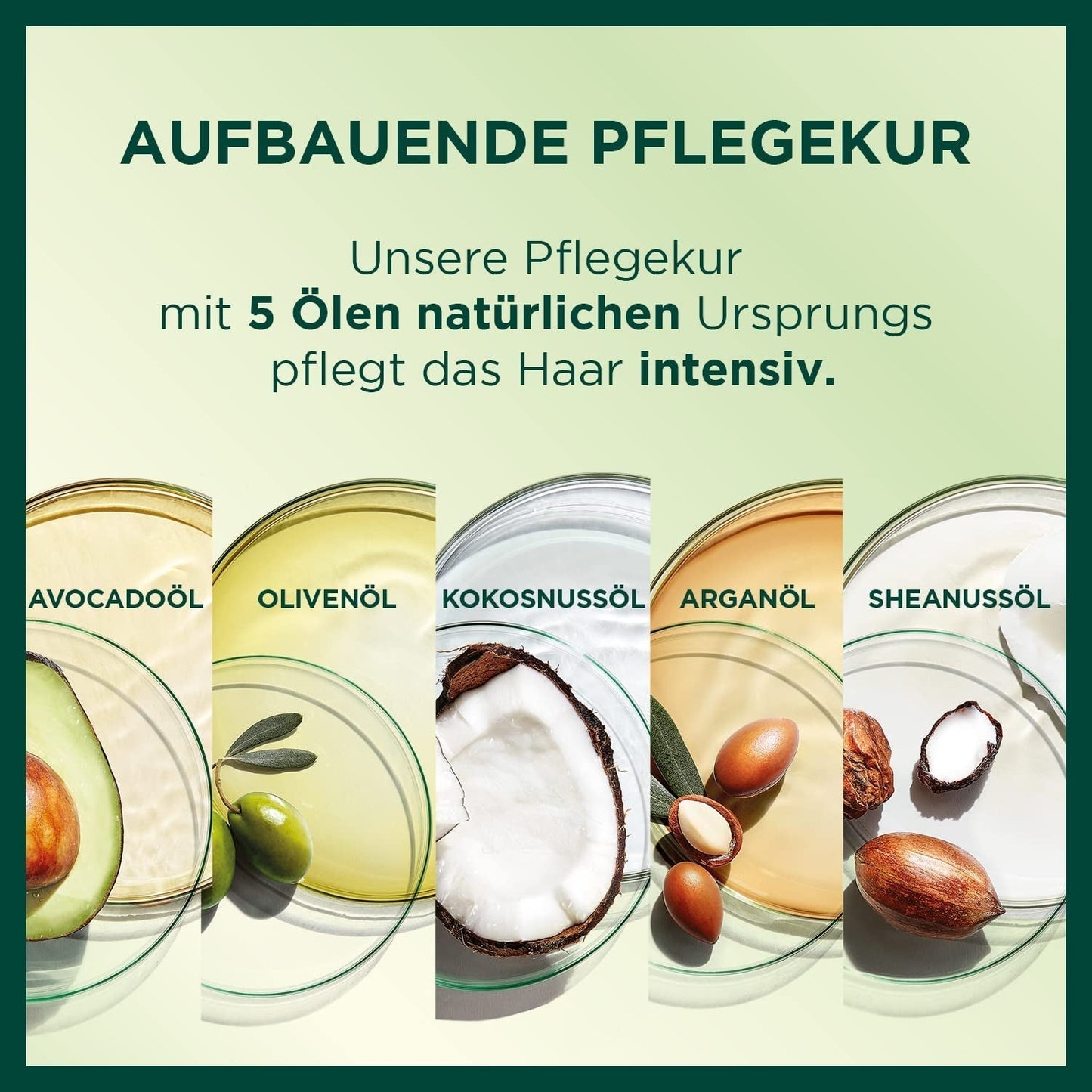 Garnier Nutrisse Permanente Pflege-Haarfarbe mit pflegenden Fruchtölen, 8 Wochen Halt, Ultra-Crème-Tönung, 036 Black Cherry (2er-Pack) Naty Shop Haarfarbe