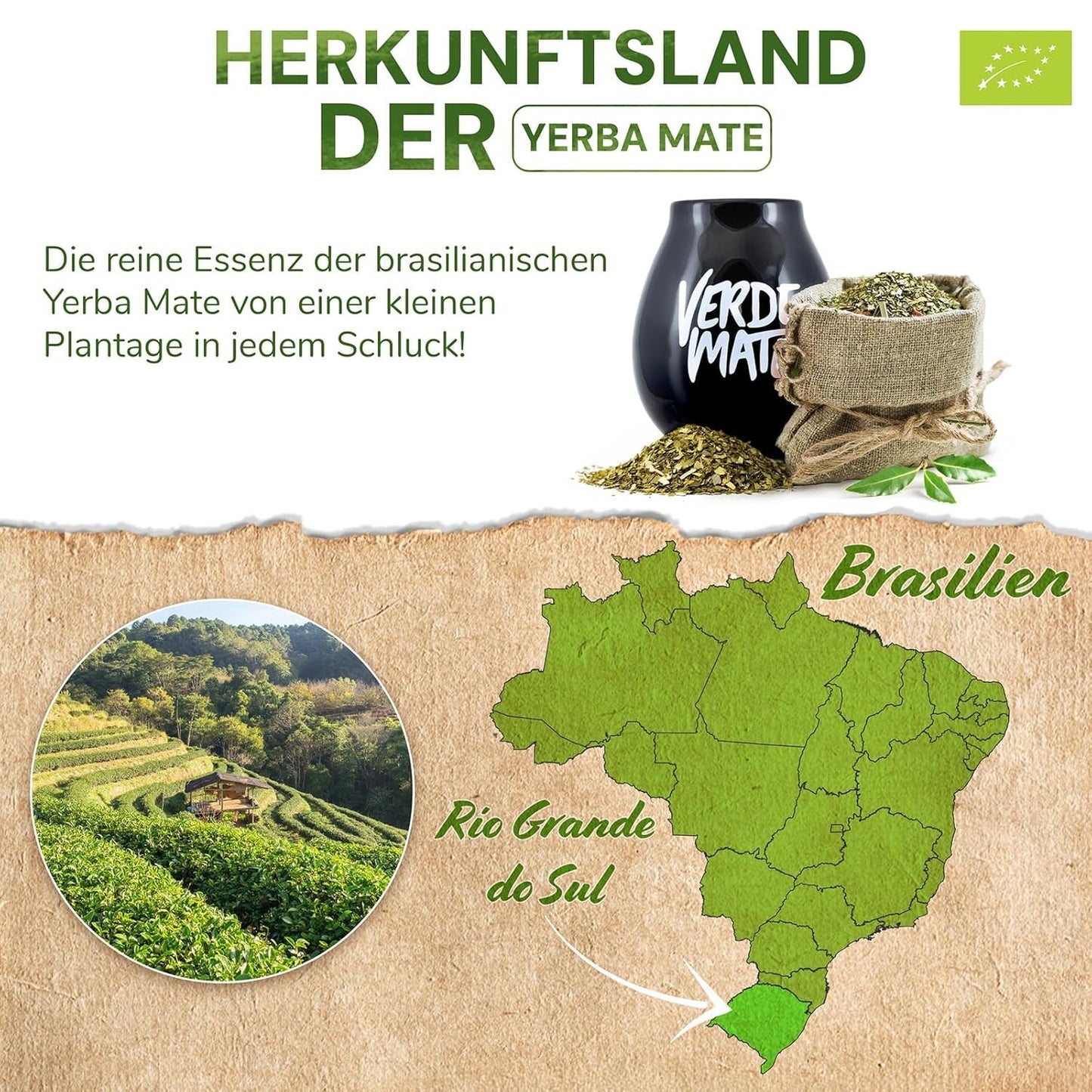 Green Mate Green Orgánica Energy Guarana 500G | Bio Yerba Mate Tee aus Brasilien | Natürlicher Koffeingehalt | Bio-Mate-Tee
