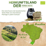 Green Mate Green Orgánica Energy Guarana 500G | Bio Yerba Mate Tee aus Brasilien | Natürlicher Koffeingehalt | Bio-Mate-Tee