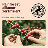 Von Amazon Heimkompostierbare Kaffeekapseln, kompatibel mit Nespresso, 100 % kolumbianischer Arabica, 20 Stück – Rainforest Alliance-zertifiziert