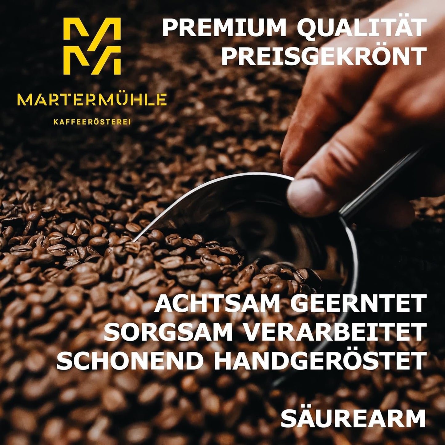 Kaffeebohnen Martermühle Guatemala 1kg stark | Arabisch | Geschmacksrichtungen: Haselnüsse, leichte Gewürze, Schokolade mit Trauben | Hell geröstete ganze Kaffeebohnen, geringer Säuregehalt