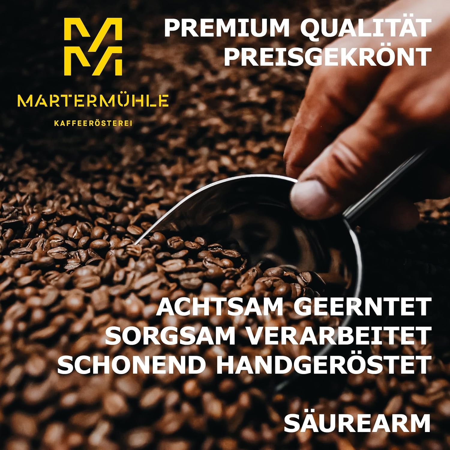 Martermühle Aßlinger Mischung Kaffeebohnen 1kg I Arabica I Geschmacksrichtungen: Haselnuss, Leichte Würze, Schokolade I Ganze Kaffee-Bohnen schonend geröstet, säurearm