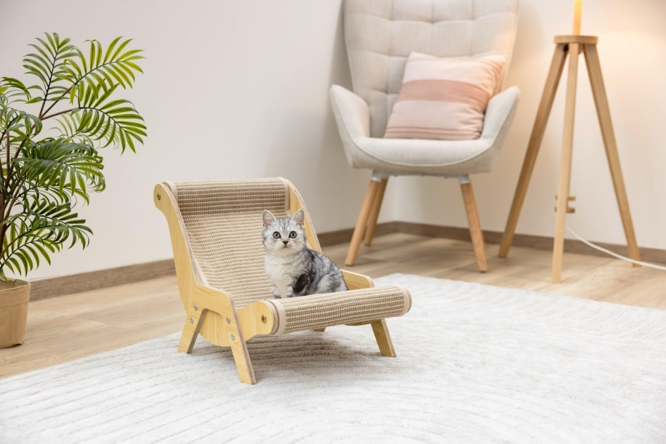 Decken und Möbel, Haustiere, Katzen, Betten für Katzen, Kratzbaum, Katzenbetten, Matratzen