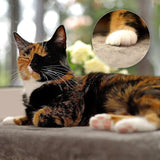 Decken und Möbel, Fensterbänke, Haustiere, Katzen, Betten für Katzen, Katzenbetten, Matratzen