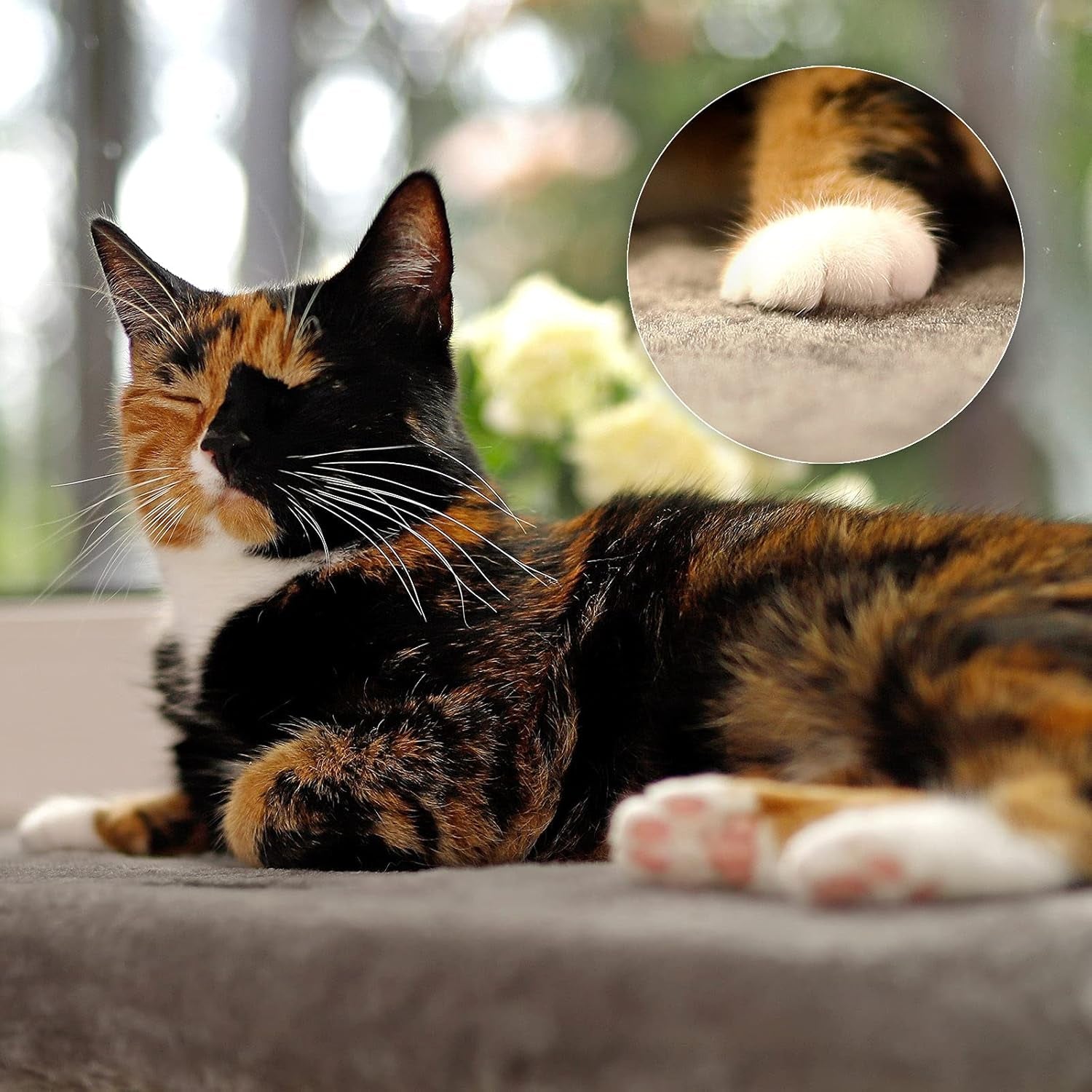 Decken und Möbel, Fensterbänke, Haustiere, Katzen, Betten für Katzen, Katzenbetten, Matratzen