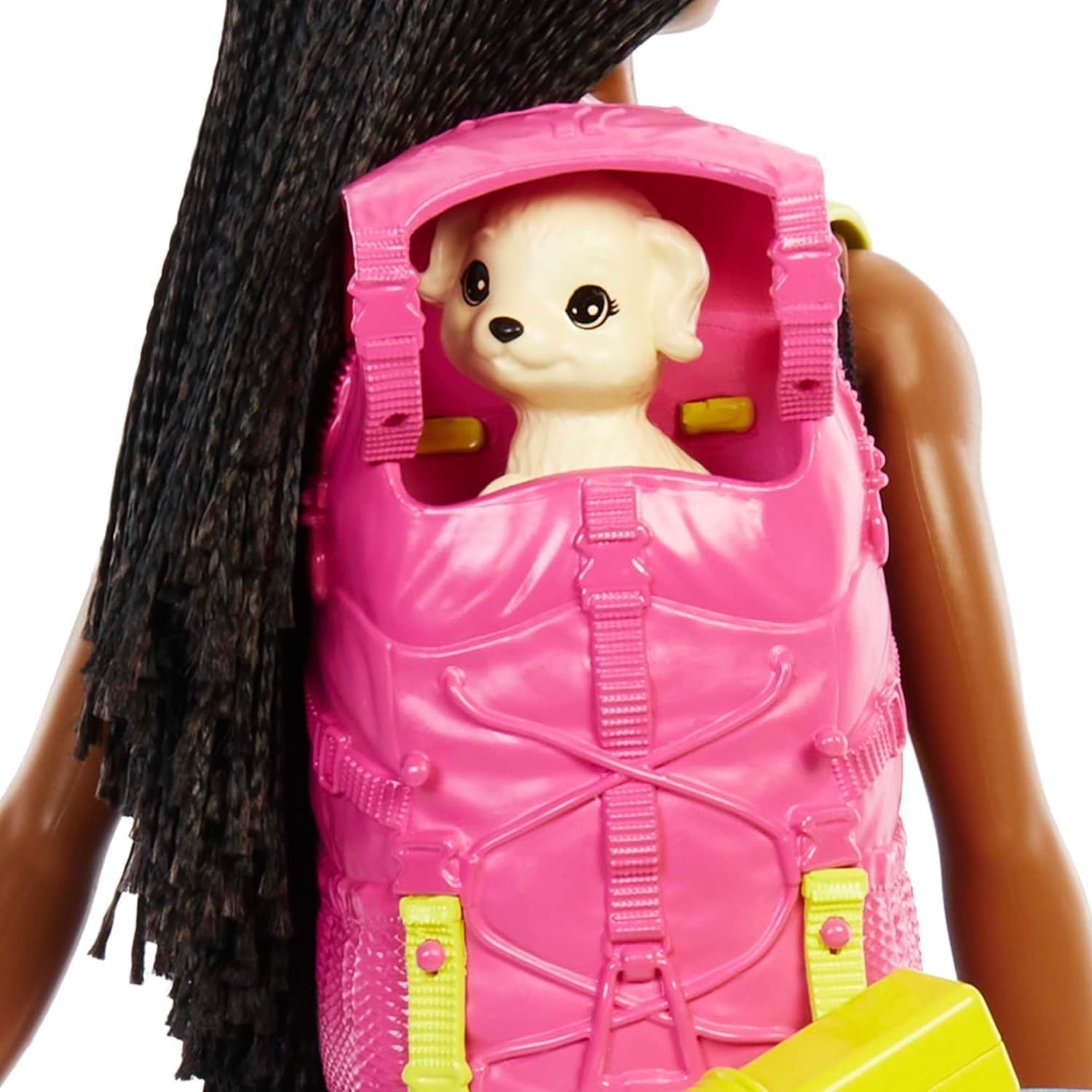Barbie HDF74 Doppelpack-Puppe! Brooklyn Camping Doll (brünett mit geflochtenen Zöpfen, ca. 29 cm) mit Welpe, Rucksack, Schlafsack, 10 Campingzubehör, Geschenk für Kinder ab 3 Jahren