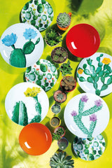 Excelsa Color Cactus Geschirrset, 18-teilig, mehrfarbig