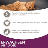 IAMS Delights Land & Sea Collection Nassfutter für Katzen – Fleisch- und Fischsortiment, Multipack in Soße, Nassfutter für Katzen ab 1 Jahr, 72 x 85 g