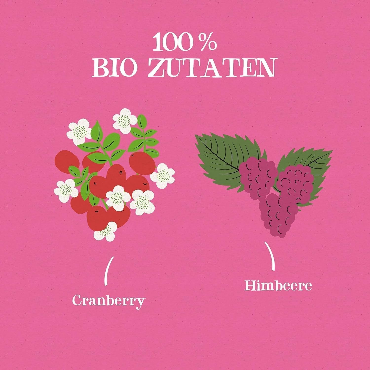 Cupper Bio-Früchtetee Cranberry Himbeere | Himbeertee | 250 ungebleichte Teebeutel | Großpackung | Perfekt fürs Büro | Ökologisch | Fairer Handel