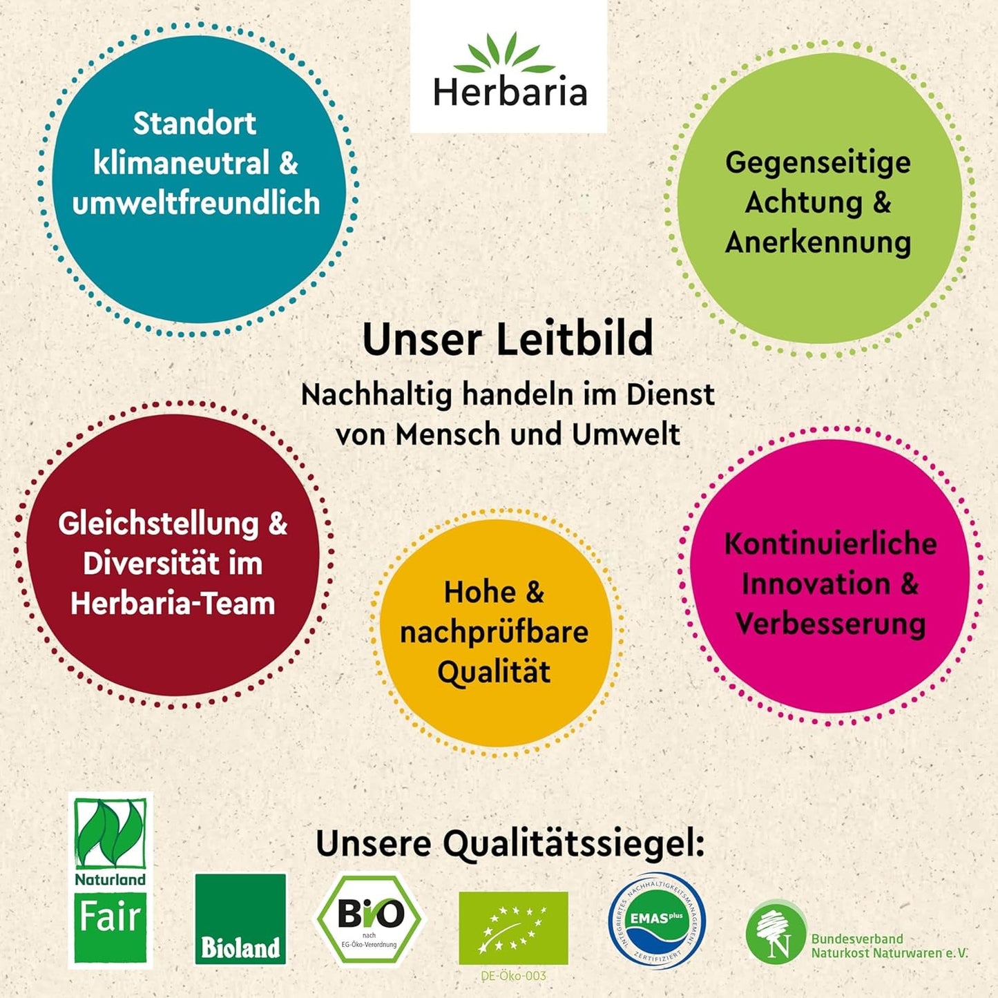 Herbaria Wilde Hilde bio 100g M-Dose-fertige Bio-Gewürzmischung - Salatgewürz für ausgefeilte Salate - mit erlesenen Zutaten - in nachhaltiger Aromaschutz-Dose