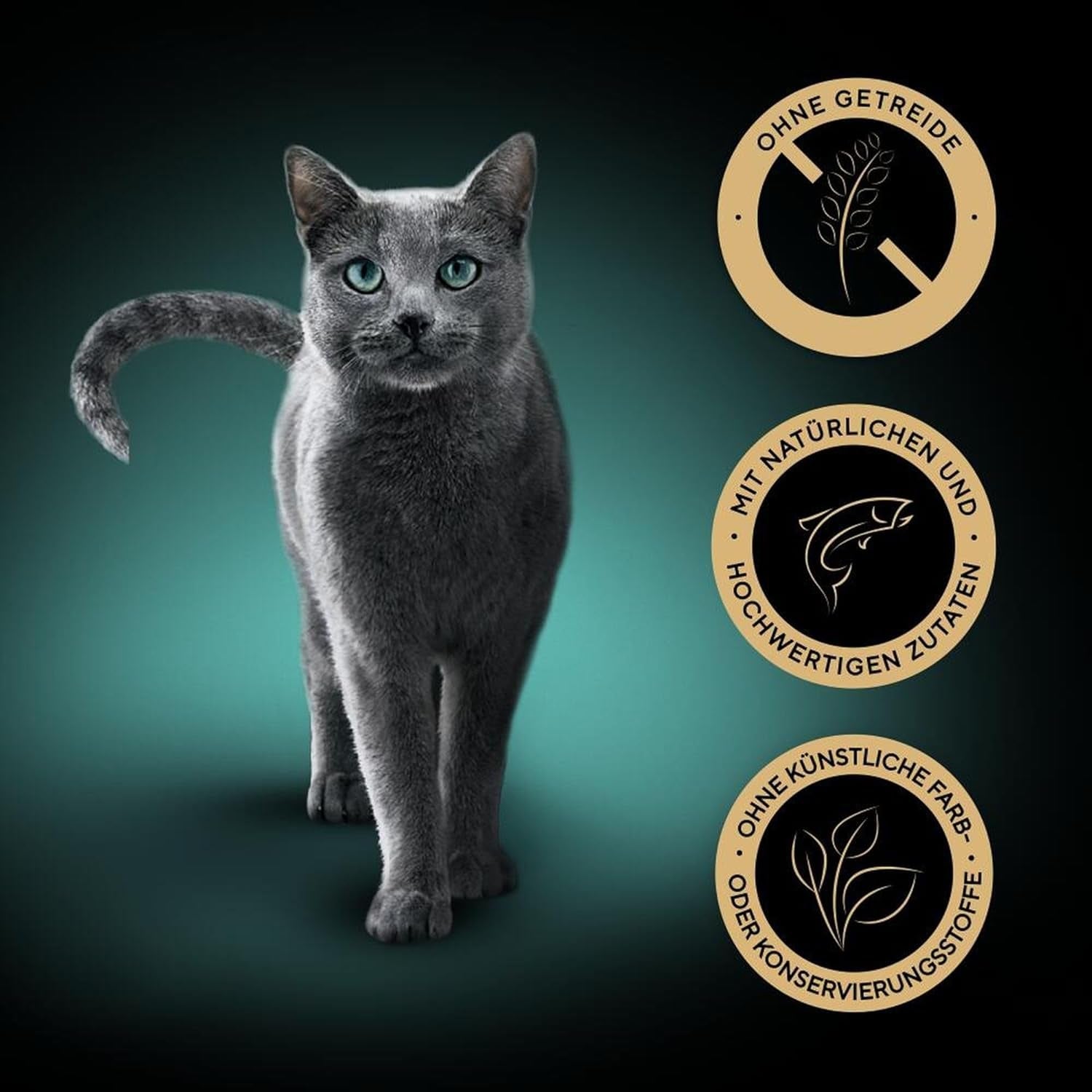 SHEBA Nassfutter für Katzen, Nature's Collection in Lachssauce, 2 x 11 x 85 g