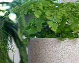 Artevasi Hestia Blumentöpfe, Blumentöpfe, dekorative Töpfe, komplexe Textur, handgefertigte Keramik, Terrakotta-Farbe, 17 cm