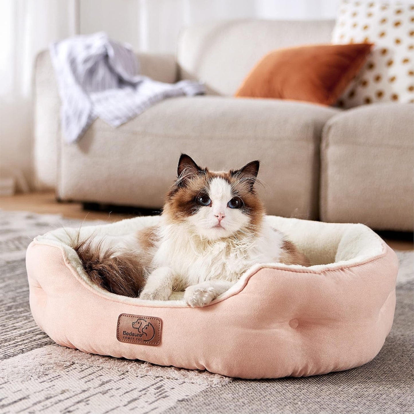 Betten und Sofas, Decken und Möbel, Haustiere, Katzen, Betten für Katzen, Katzenbetten, Matratzen