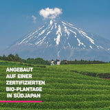 Lebepur BIO Matcha-Pulver 100 g – Premium-Qualität aus Japan ohne Zusatzstoffe – 100 % reines Grüntee-Pulver für Matcha Latte, Matcha-Tee, grünen Tee, Smoothie – japanischer grüner Tee