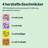 Amazon Mixed Selection Nassfutter für junge Katzen in Gelee, 1,2 kg (12 Beutel à 100 g)