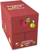 HAFERVOLL Minis Raps und Banane 8x 65g - Bio-zertifiziert, mit Honig, ohne Zuckerzusatz, perfekt zum Teilen