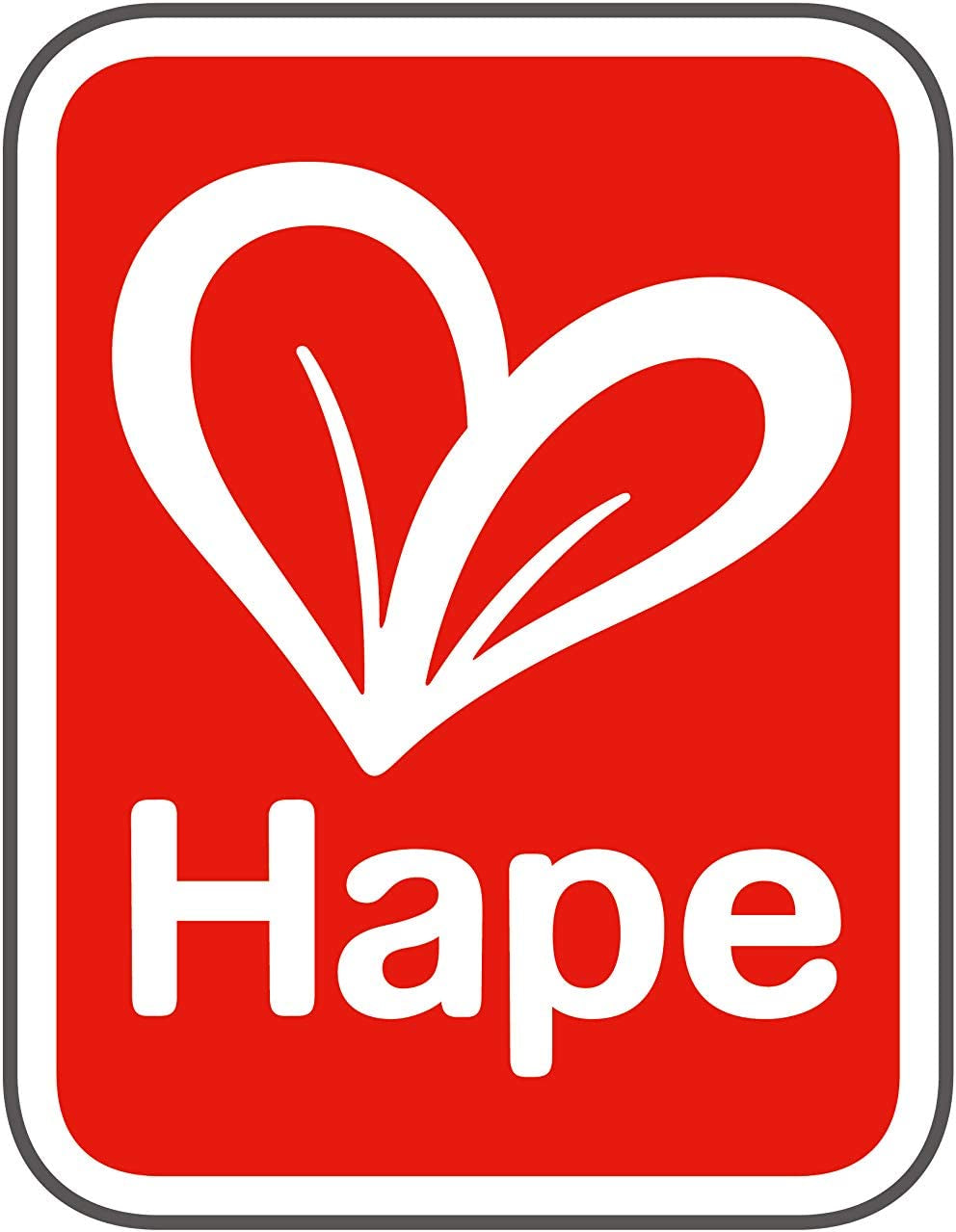 Hape E3459 – Kinderzimmer, kleine Naty Shop Puppenhäuser