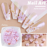 6 Box 3D Flower Nagelkunst Charms, Acryl Flower Nagel Strass Mit Gold Und Silberperlen Ornamente, Nagel Edelsteine, Nagel Zubehör Für Mädchen, Frauen, DIY Nageldesign, Basteldekoration…