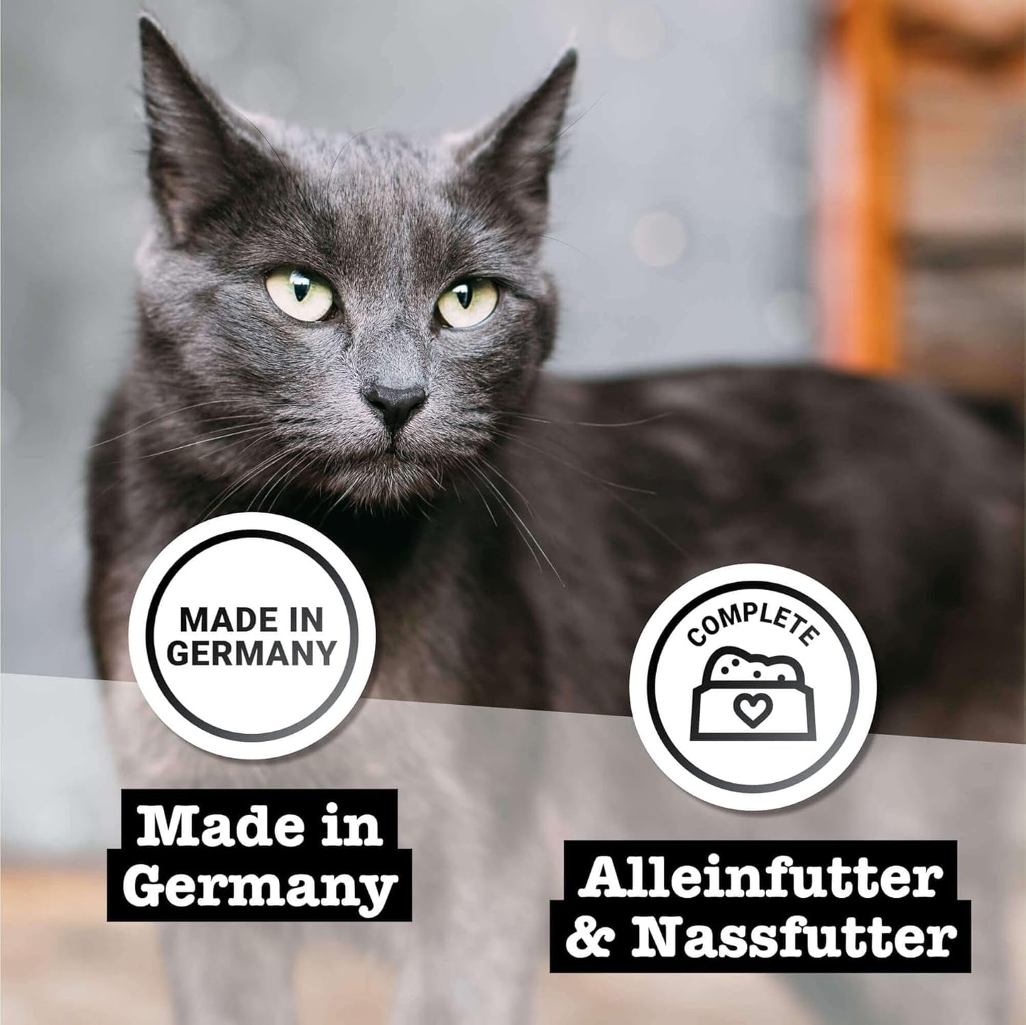 Nassfutter für Katzen Catz Finefood Purrrr Horse Monoprotein Nr. 123, für Katzen mit empfindlicher Verdauung, 70 % Fleischanteil, 6 Boxen x 400 g