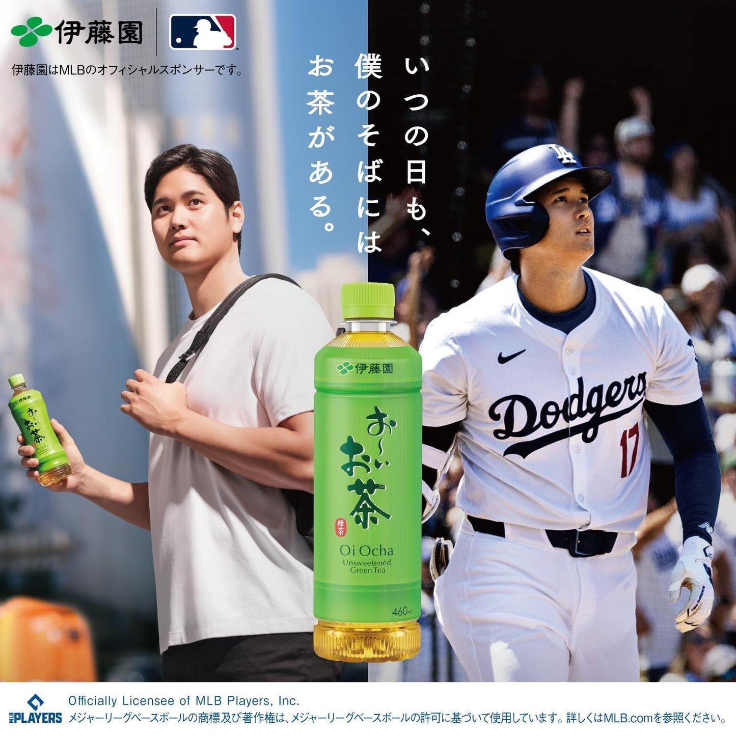 Itoen Oiocha Matcha-Iri Ryokucha – Japanische Grünteeblätter – 100 g
