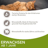 IAMS Delights Land Collection Nassfutter für Katzen – Multipack mit Fleischsorten (Lamm, Rind, Huhn und Pute) in Soße, Nassfutter für Katzen ab 1 Jahr, 12 x 85g