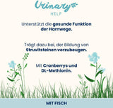 Almo Nature Functional Urinary Help – Nassfutter für ausgewachsene Katzen mit Fisch – Unterstützung für die Gesundheit der Harnwege – 30 Beutel à 70 g
