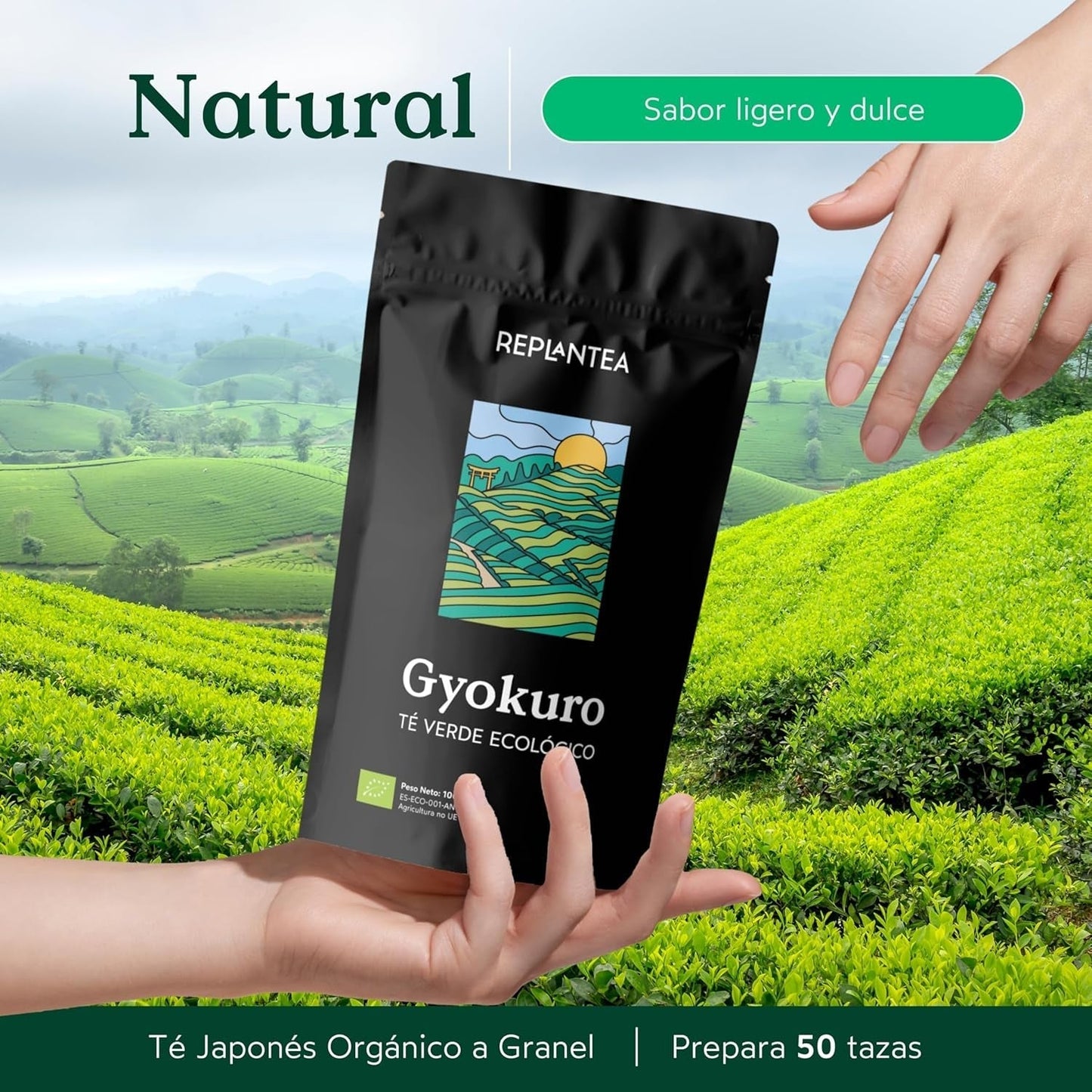 Bio-Gyokuro japanischer Grüntee (100 g) | Premium-Tee in loser Schüttung | Raffinierter Umami-Geschmack und zarte Süße | NEU PFLANZEN